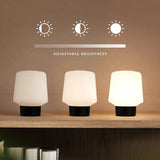 Ambience Lamp Intelligent+ med Oslo base i FSC-certificeret egetræ, størrelse 5, indendørs belysning