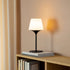Ambience Lamp Intelligent+ med Aalborg base i rustfrit stål og frostsikkert opalglas til udendørs brug