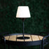 Ambience Lamp Intelligent+ med Aalborg base i rustfrit stål og opalglas til udendørs brug.