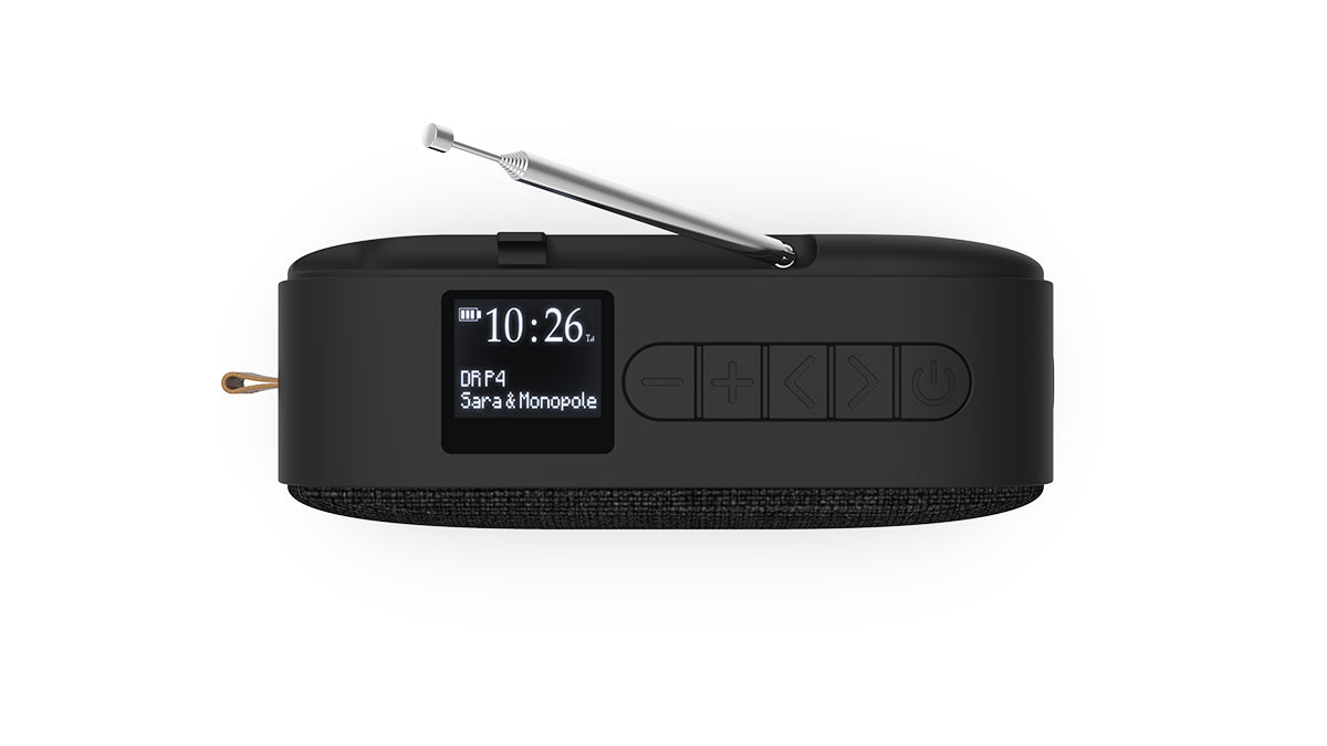 Go 300 - Genopladelig Bluetooth højtaler med FM-/DAB+-radio