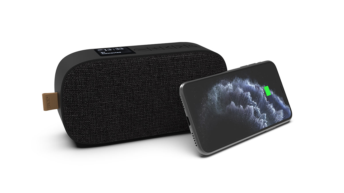 Go 300 - Genopladelig Bluetooth højtaler med FM-/DAB+-radio