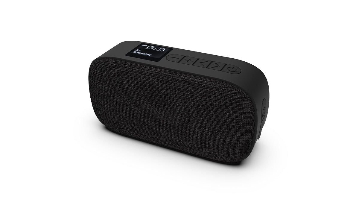 Go 300 - Genopladelig Bluetooth højtaler med FM-/DAB+-radio