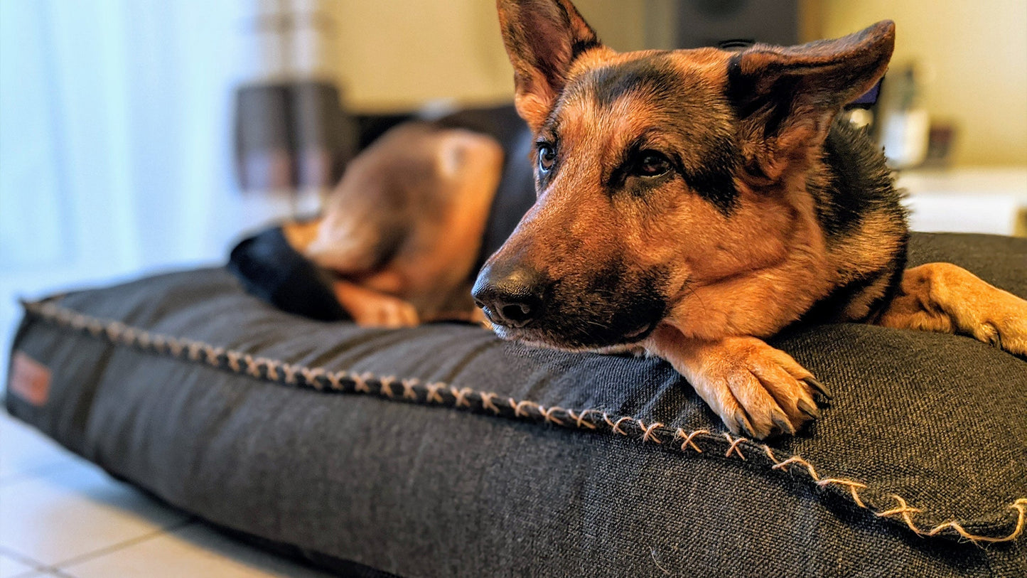 Dog bed - Eksklusiv hundepude i stærke materialer