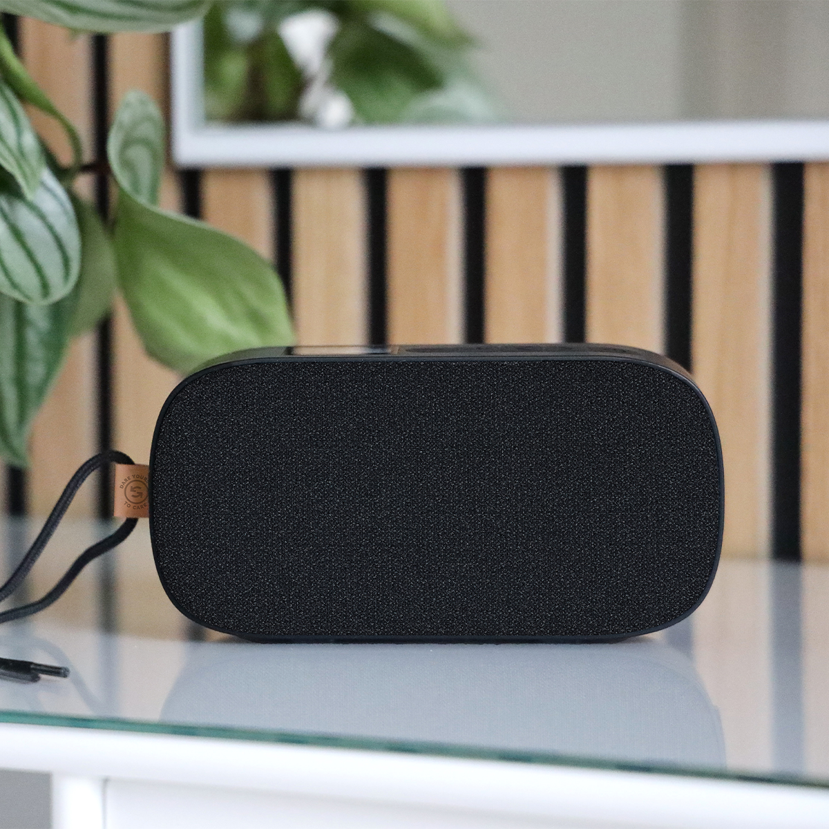 Go 300 Care - Genopladelig Bluetooth højtaler med FM-/DAB+-radio