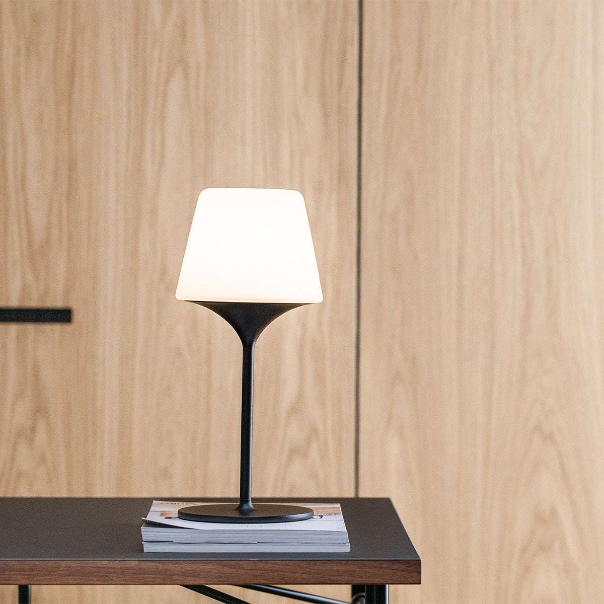 Ambience - Lamp Intelligent & Aalborg base | Ambience - Lamp Intelligent & Aalborg base - | SACKit