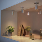 Poleret aluminium Expo Ceiling loftslampe med rund form og minimalistisk design.