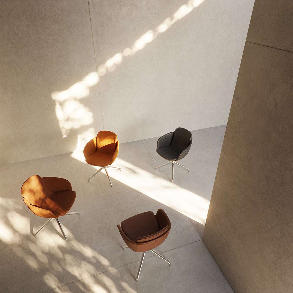 Chair no. One S2 Terra Black polstret læderstol med poleret aluminium swivel-fod indendørs spisebordstol