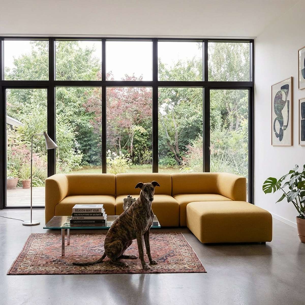Mustardgul Fjord sofa fra sackit i en lys nordisk stue med store vinduer og en hund på et mønstret tæppe foran sofaen