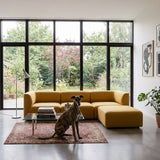 Mustardgul Fjord sofa fra sackit i en lys nordisk stue med store vinduer og en hund på et mønstret tæppe foran sofaen