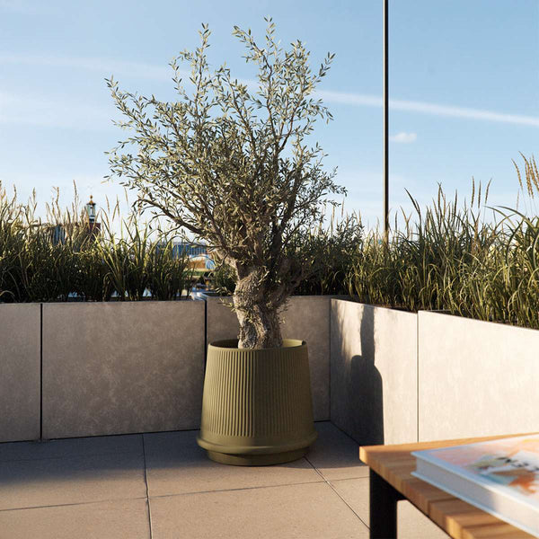 Gaia 38 | Gaia 38 - Olive | SACKit